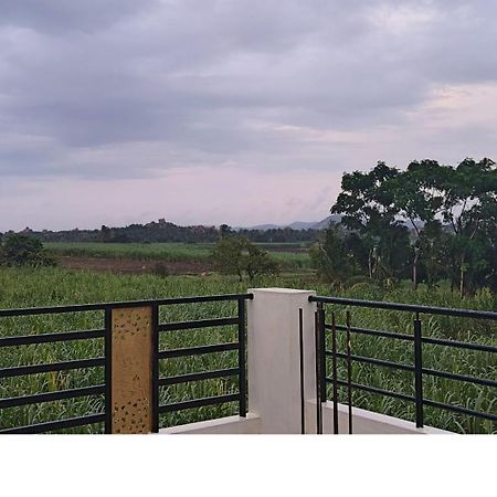 Coconut Homestay Hampi Esterno foto