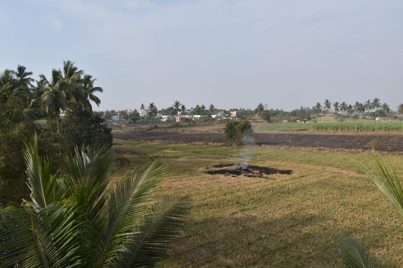 Coconut Homestay Hampi Esterno foto